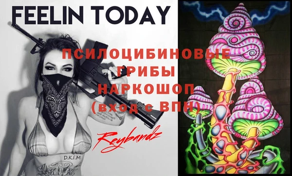 дживик Вязники