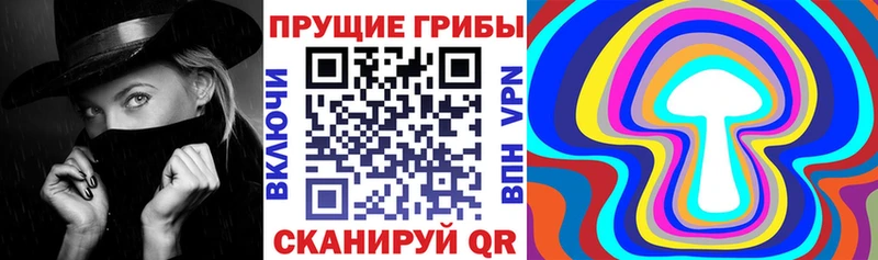 купить наркотики сайты  Заволжск  Псилоцибиновые грибы ЛСД 